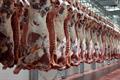 تولید 15 هزار تن گوشت قرمز توسط عشایر اصفهان در سال جاری